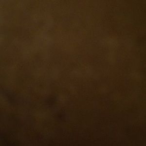 Meet your Posher, Dontavious